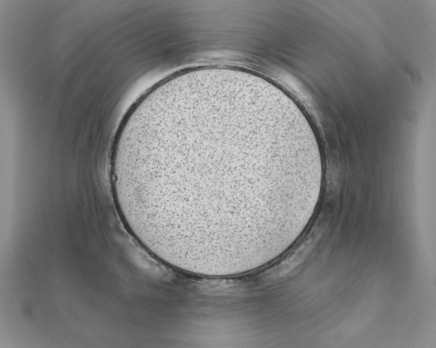 X0000111141336200907281104