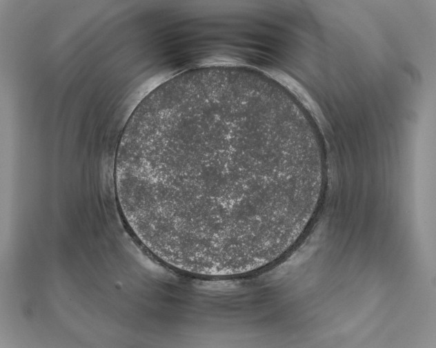 X0000111141337200907281104