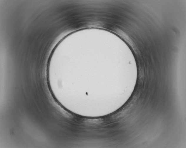 X0000111141339200907281104