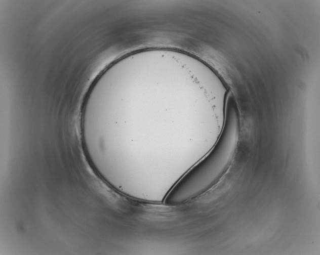 X0000111141342200907281104