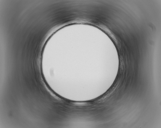 X0000111141343200907281104