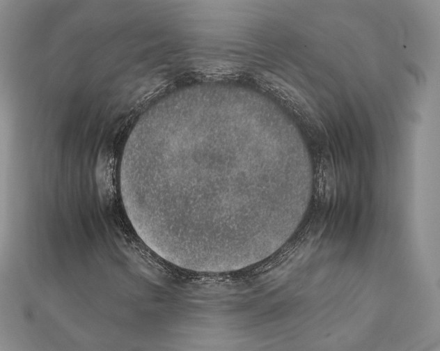 X0000111141346200907281104