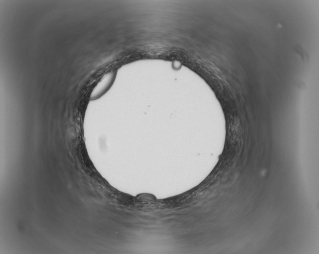 X0000111141349200907281104