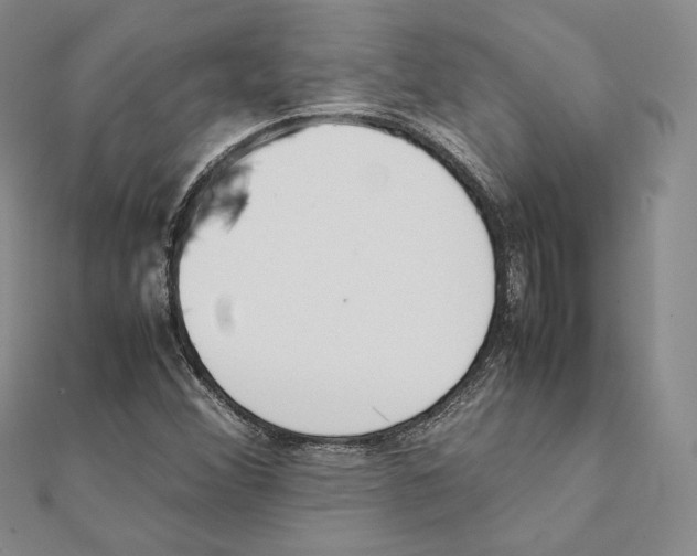 X0000111141356200907281104