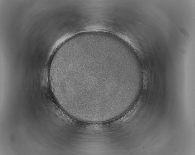 X0000111141358200907281104