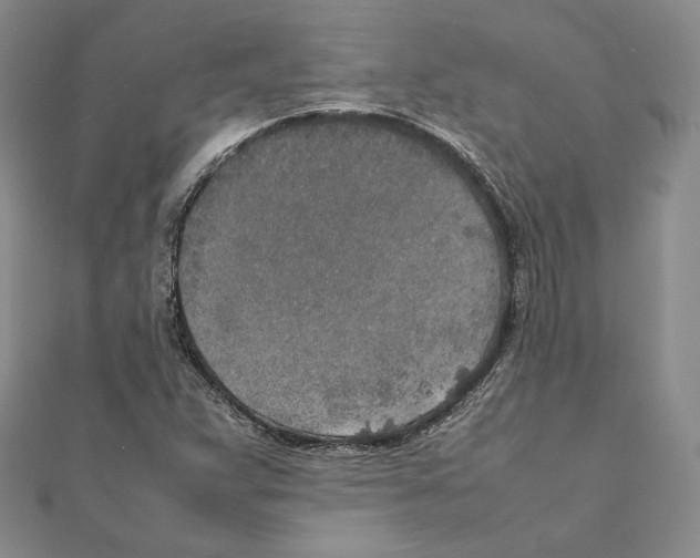 X0000111141359200907281104