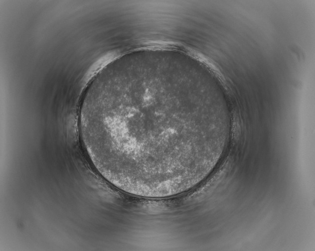 X0000111141362200907281103