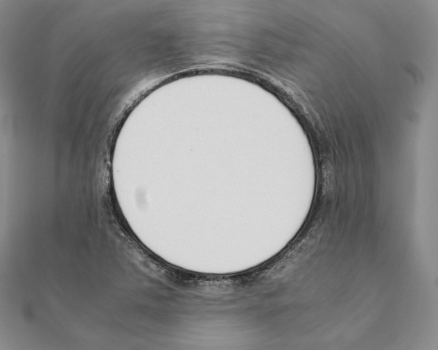 X0000111141363200907281103