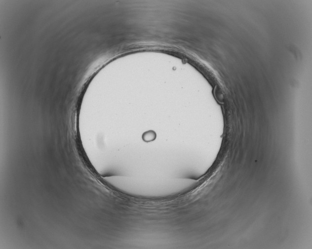 X0000111141365200907281103