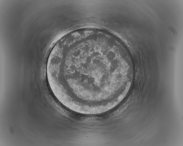 X0000111141367200907281103