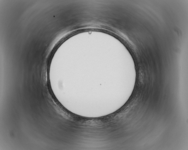 X0000111141368200907281103