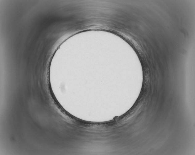 X0000111141375200907281103