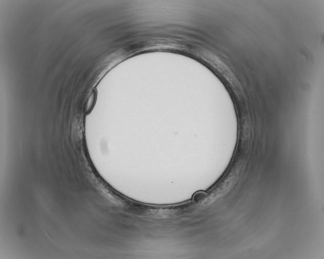 X0000111141377200907281103