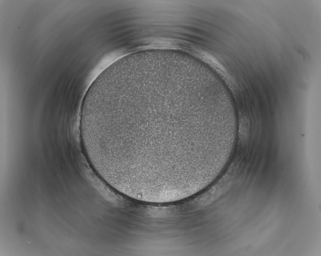 X0000111141378200907281103