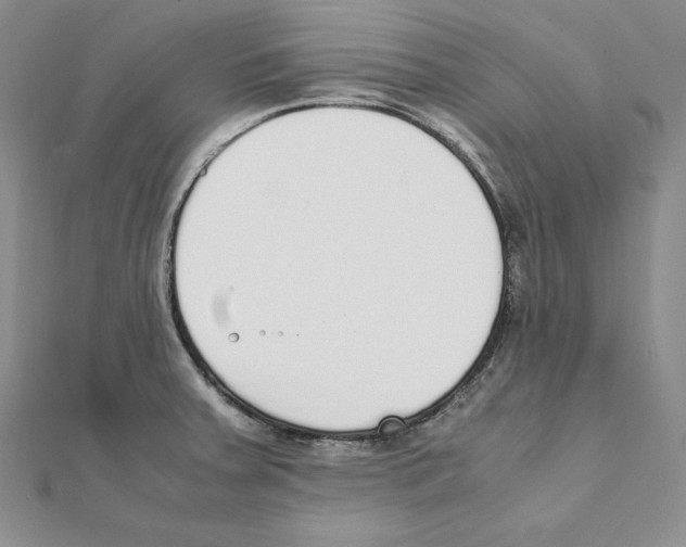 X0000111141379200907281103