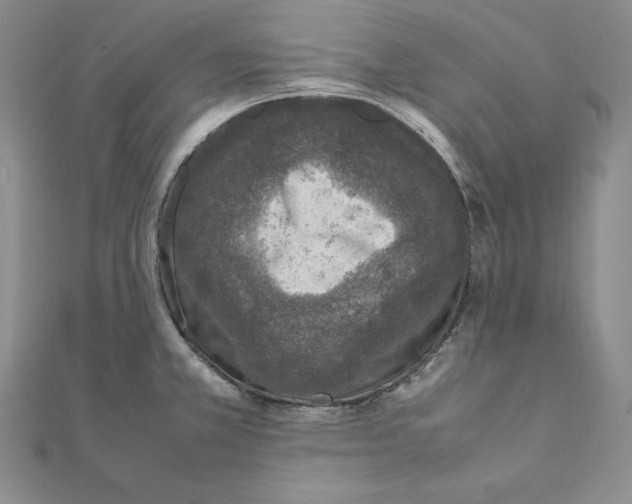 X0000111141381200907281103