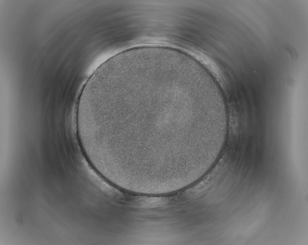 X0000111141382200907281103