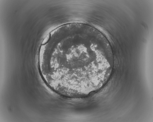 X0000111141383200907281103