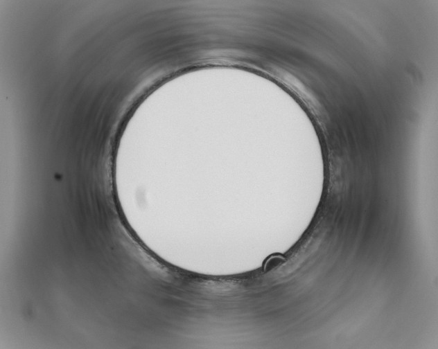 X0000111141384200907281103