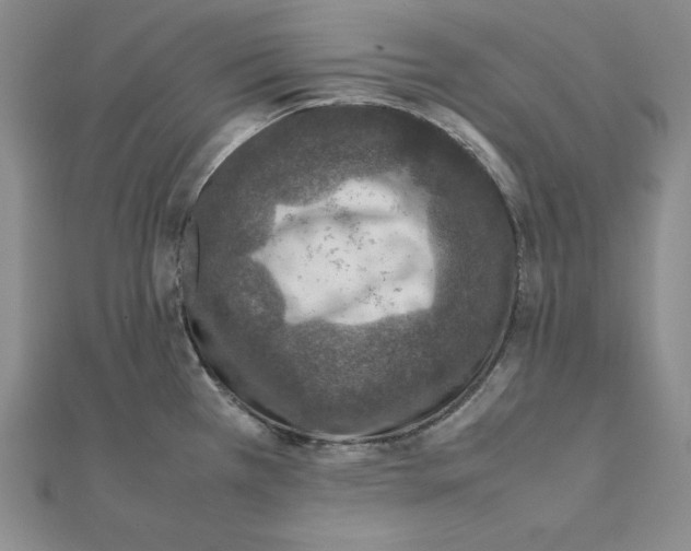 X0000111141385200907281103