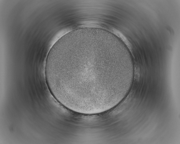 X0000111141386200907281103