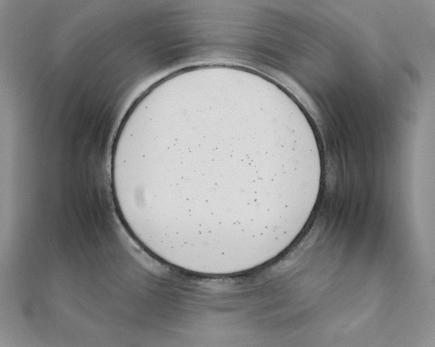 X0000111141388200907281103