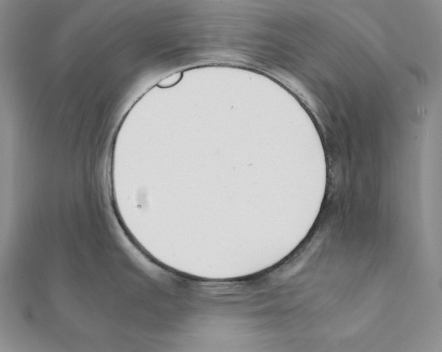 X0000111141391200907281103