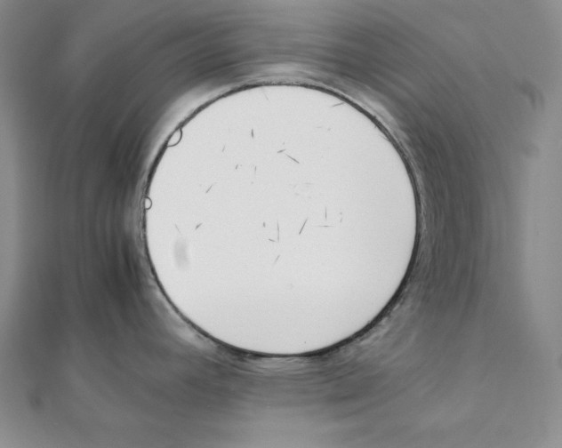 X0000111141392200907281103