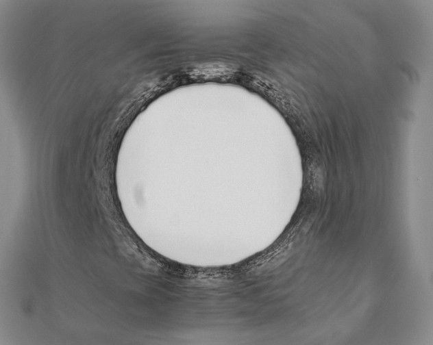 X0000111141393200907281102