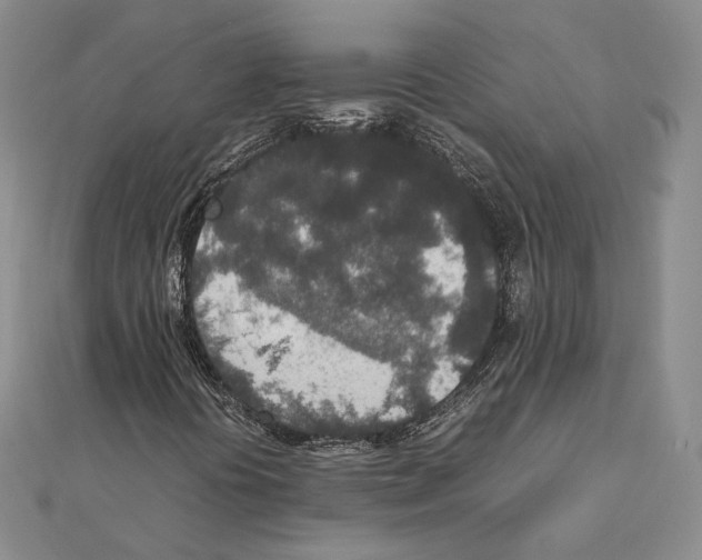 X0000111141394200907281103