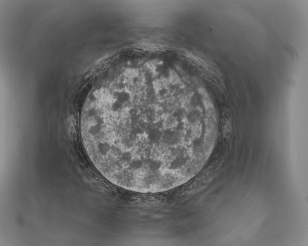 X0000111141397200907281103