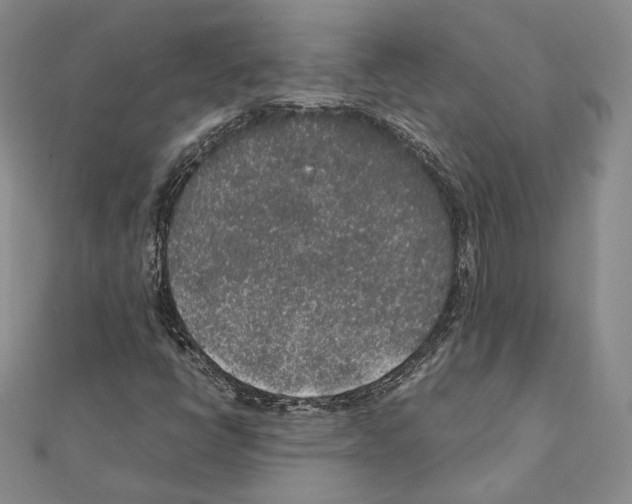 X0000111141398200907281103