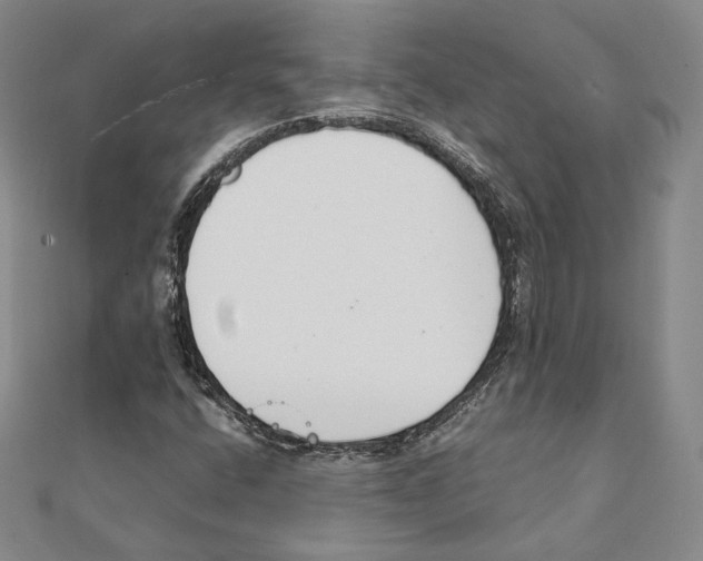 X0000111141400200907281103