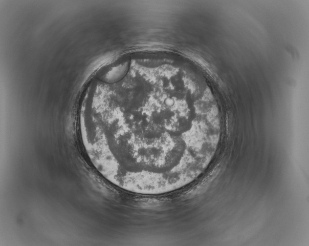 X0000111141405200907281103