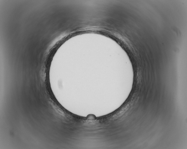 X0000111141406200907281103