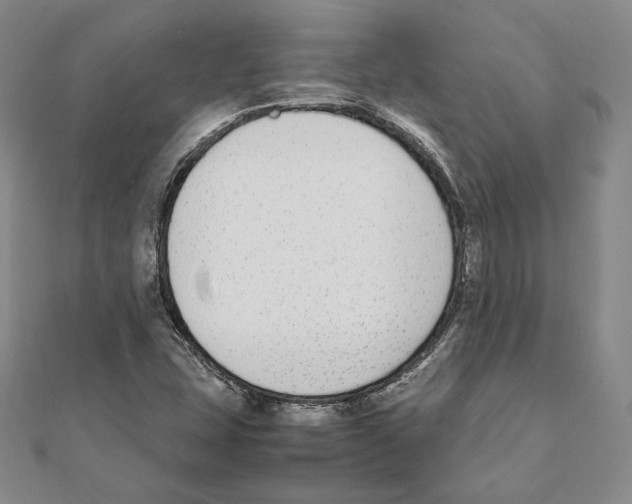 X0000111141407200907281103