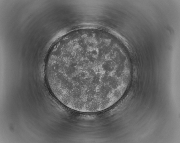 X0000111141411200907281103