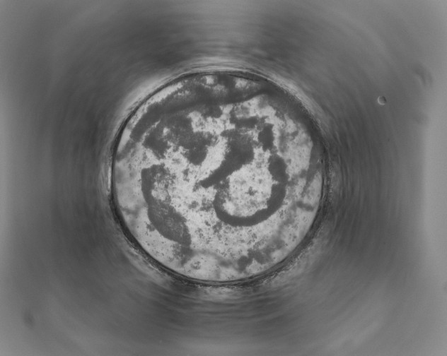 X0000111141413200907281103