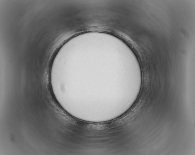 X0000111141415200907281103