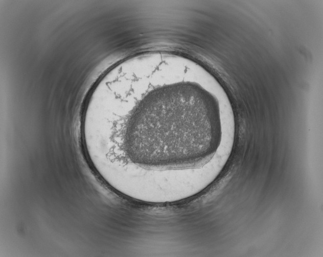 X0000111141418200907281103