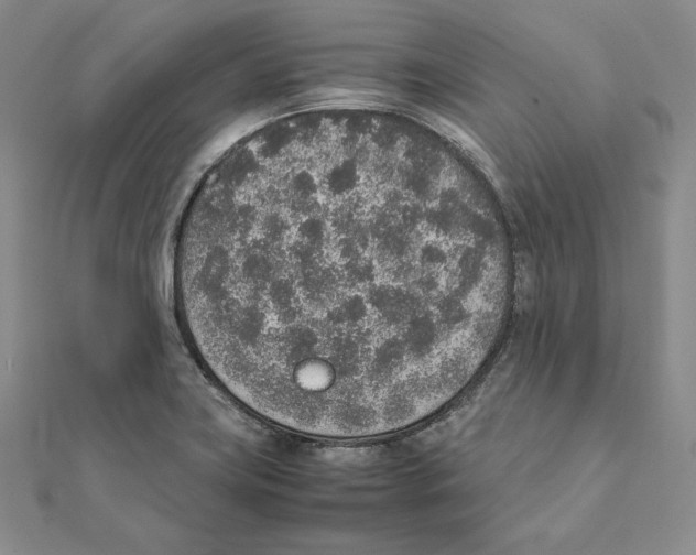 X0000111141419200907281103