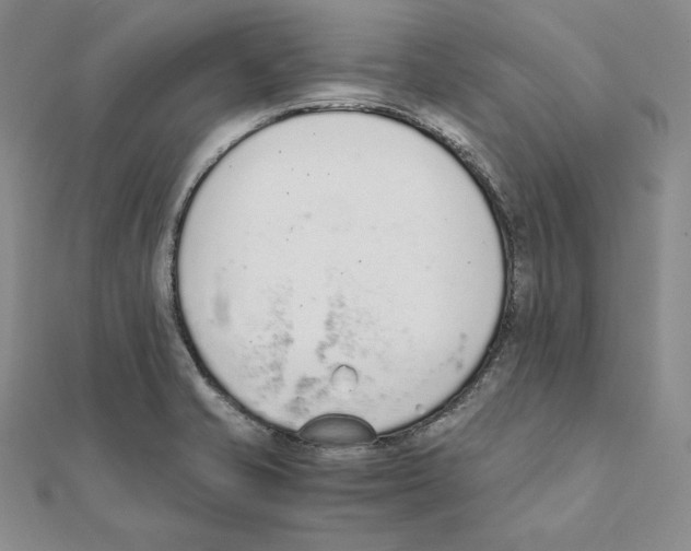 X0000111141421200907281103