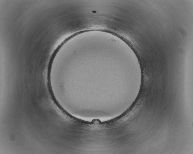 X0000111141422200907281103