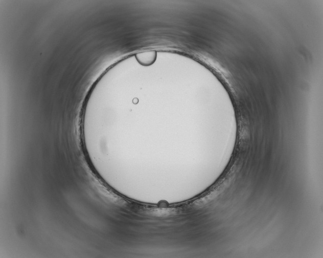 X0000111141423200907281103