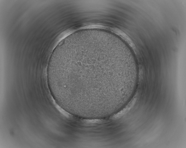 X0000111141425200907281103