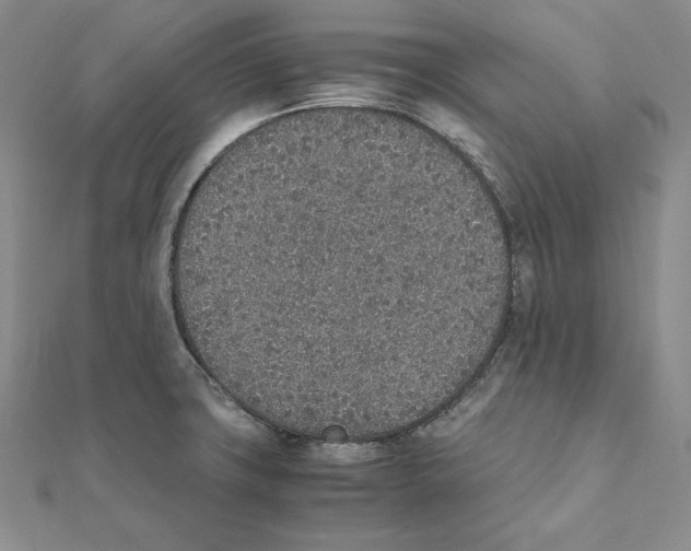 X0000111141427200907281103