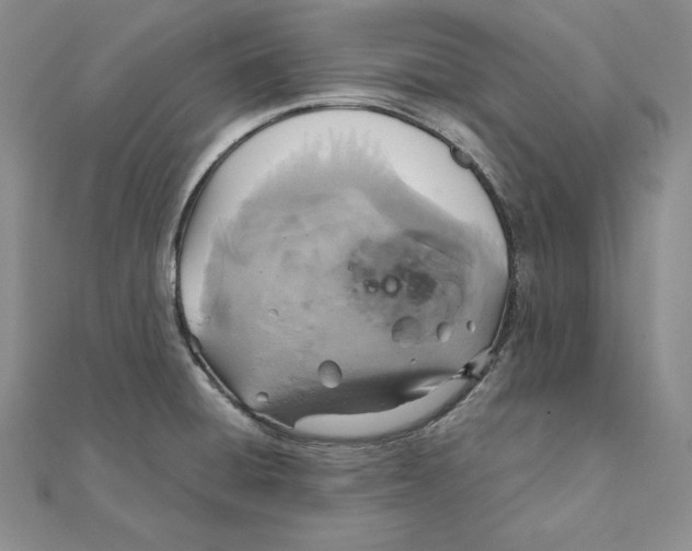 X0000111141428200907281103