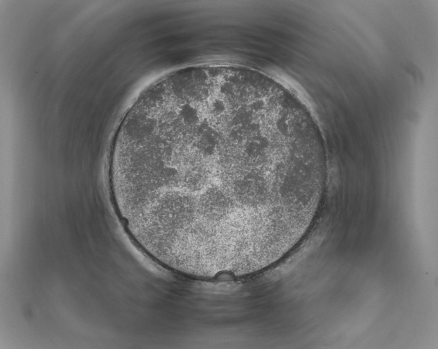 X0000111141429200907281103