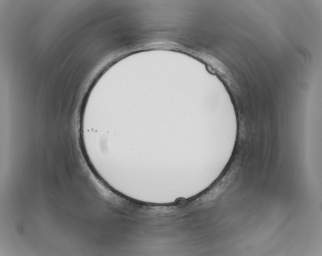 X0000111141430200907281103