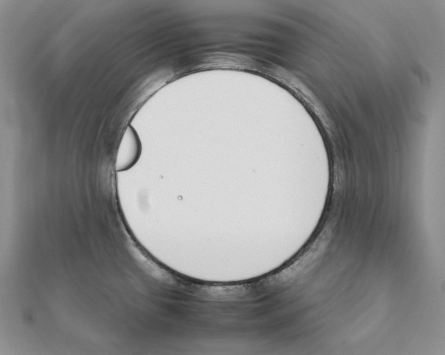 X0000111141433200907281103